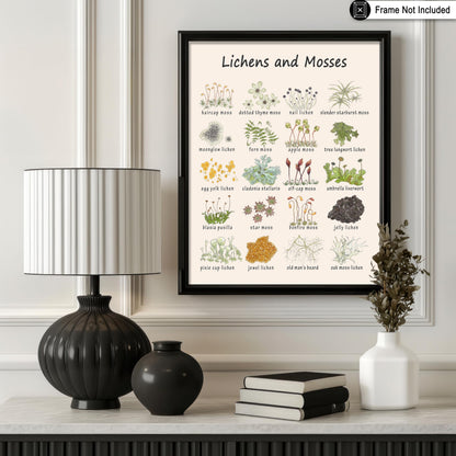 Poster Master Lichens & Mosses Poster - Educational Print - Learning Materials Art - Botanical Art - Gift for Students & Teacher - Fun Decor for Classroom, Library or Nursery - 8x10 UNFRAMED Wall Art