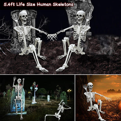 Lodou 5.4Ft Posable Life Size Human Adult Skeletons Plastic Human Bones with Movable Joints for Halloween Decoration