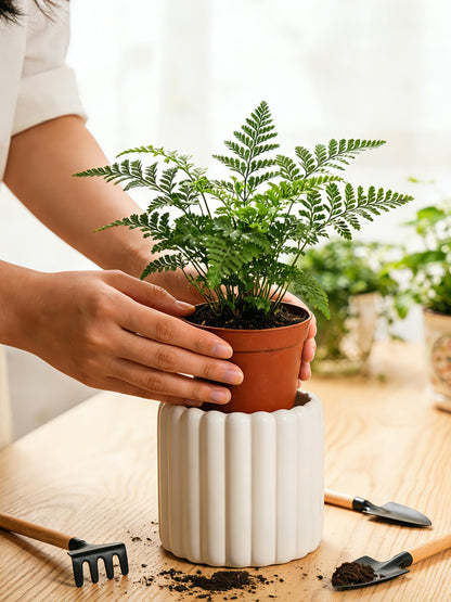 FUYHE Ceramic Plant Pots,6 inch+4.7 Inch Planter Pot with Drainage Holes,Ceramic Planters for Indoor Plants,Modern Flower Pots for Indoor Outdoor Plants House & Office Décor,Cream White