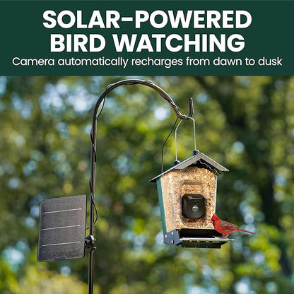 Perky-Pet Solar Powered Smart Bird Feeder with Camera - Squirrel-Resistant, 3.2L Capacity, Motion Activated 1080p HD WiFi Live Stream Camera, SPCAM, SPCAMSLR - Camera Feeder Gift Idea, Red