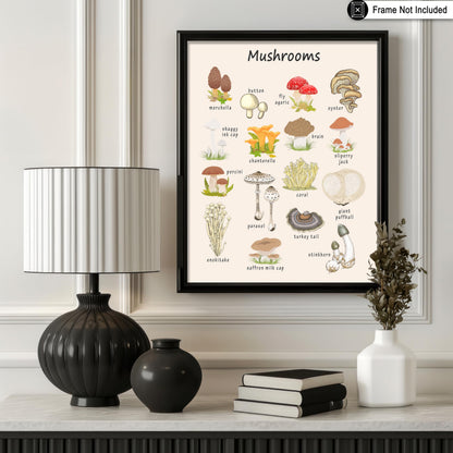 Poster Master Mushroom Print - Botanical Poster - Learning Materials Art - Educational Wall Design - Gift for Students & Teacher - Decor for Classroom, Library or Nursery - 8x10 UNFRAMED Wall Art