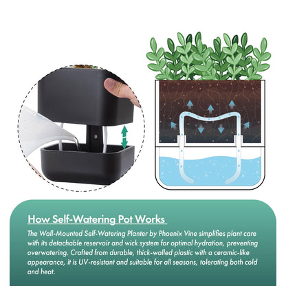Phoenix Vine 6.5 Inch Wall Mounted Self-Watering Planter Pot for Indoor Houseplants and Herbs | Hanging Planter for Window Sills, Bathroom Walls, Home & Office Décor, Black, Set of 3, 01-C-E-3