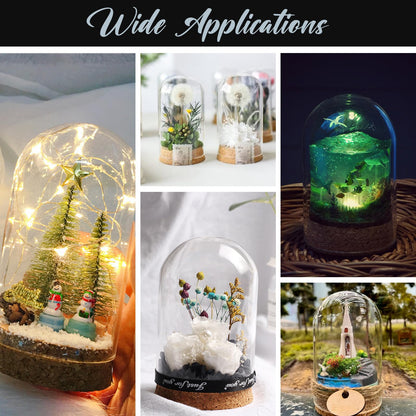 LIOOBO Glass Cloche Bell Jar with Cork Base, Tiny Display Dome for Eternal Flower And Micro Landscape, Clear Terrarium Container Bulk 5 Pack