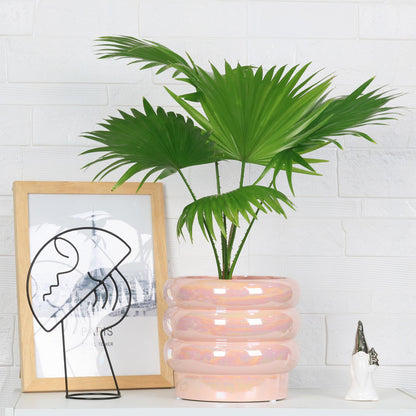 YFFSRJDJ 7.8 Inch Ceramic Plant Pots for Indoor Plants, Rainbow Pearl Glaze Planter with Planters for Plants with Drainage Hole, Orchid Pots, Succulent Pot, Flower Pot (Pink)