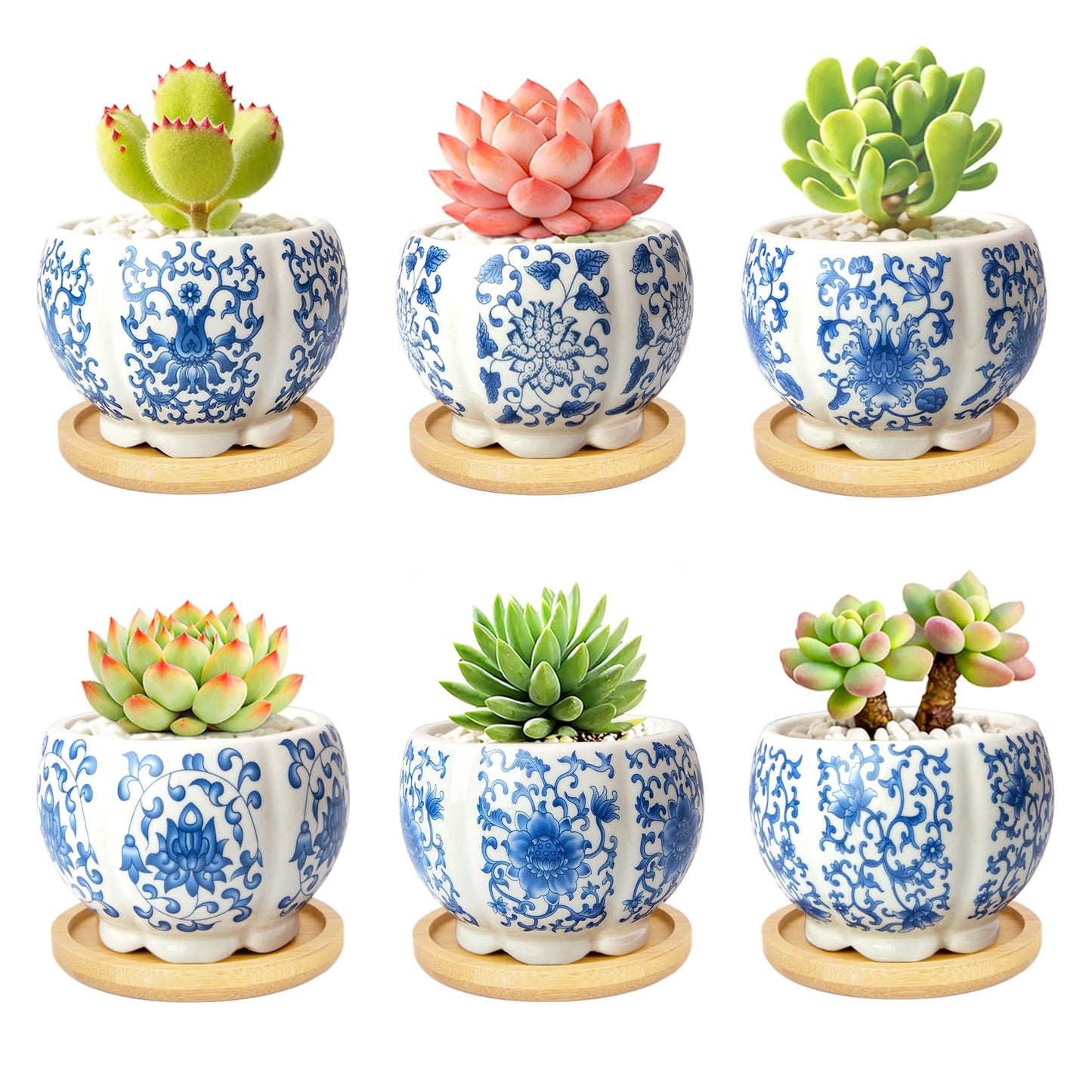 celamos Succulent Pots 6 Pack, Small Flower Pots with Drainage Bamboo Tray, 3.1 Inch Succulent Pots for Indoor Plants, Cactus Pots and Planters, Decorative Small Pots for Home Office