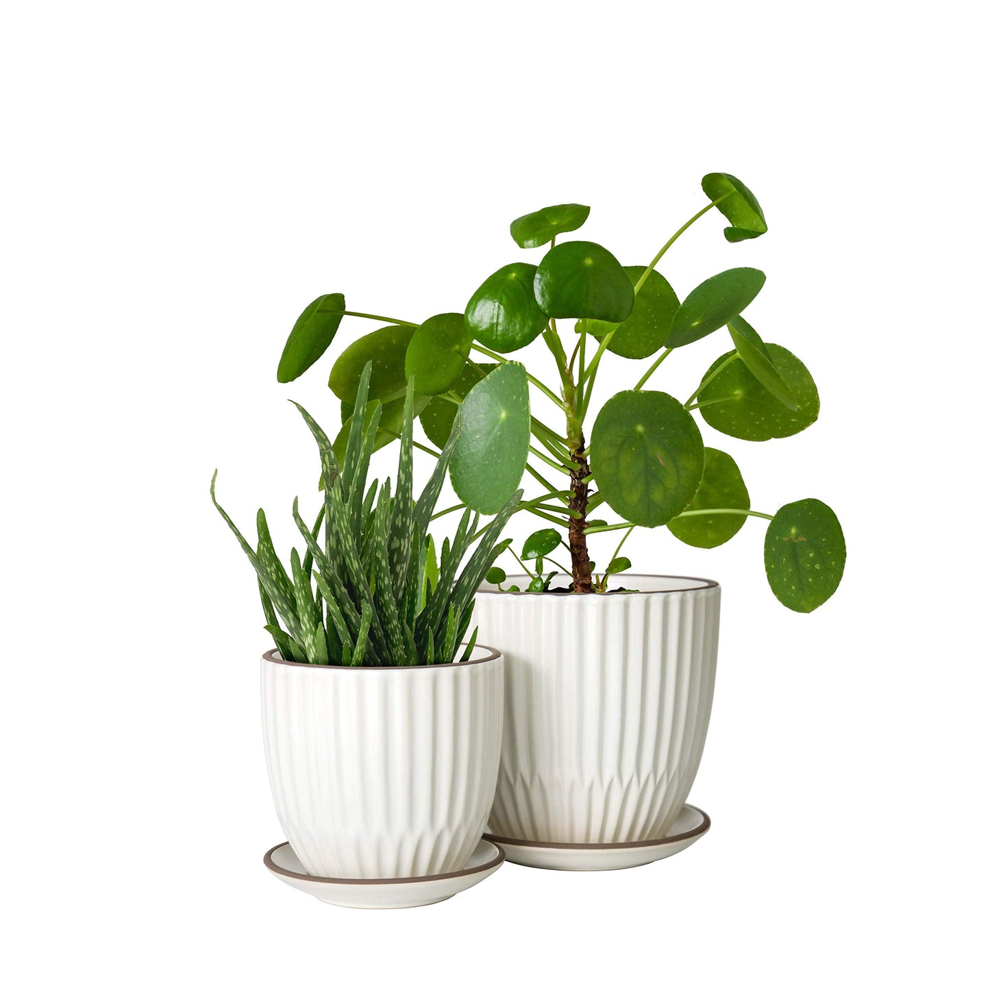 D'vine Dev Set of 2 Stoneware Planter Pots, Ceramic Pot with Drainage Hole and Saucers, 4.5 Inch 5.8 Inch, Ivory, 99-D-1