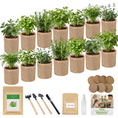 Herb Indoor Window Garden Kit - House Plants Seeds - Best Unique Christmas Gift Ideas for Women, Friend, Birthday, Housewarming, Mother, Beginner DIY Craft & Hobby Gardening Gift for Plant Lovers