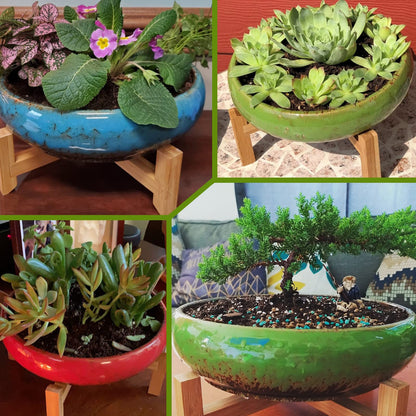ARTKETTY 2 Pack Succulent Pots - 10''+12'' Succulent Planters with Drainage, Shallow Bonsai Pots with Tray Ceramic Pots for Indoor Plants Large Cactus Flower Plant Bowl