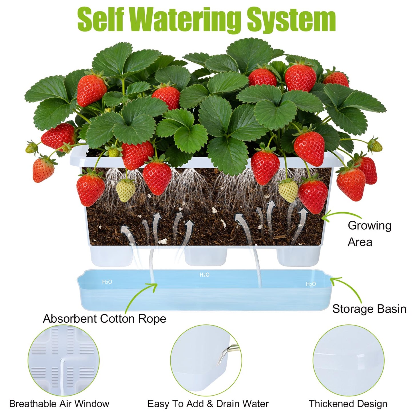 Oliz Window Box Planter 6 Packs, 13.8 Inches Rectangle Flower Pots with Drainage Holes & Trays, Pots for Vegetables, Herbs, Flowers, Garden Windowsill Balcony (Translucent White)
