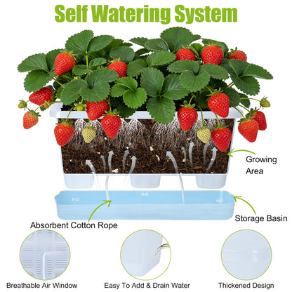 Oliz Window Box Planter 6 Packs, 13.8 Inches Rectangle Flower Pots with Drainage Holes & Trays, Pots for Vegetables, Herbs, Flowers, Garden Windowsill Balcony (Translucent White)