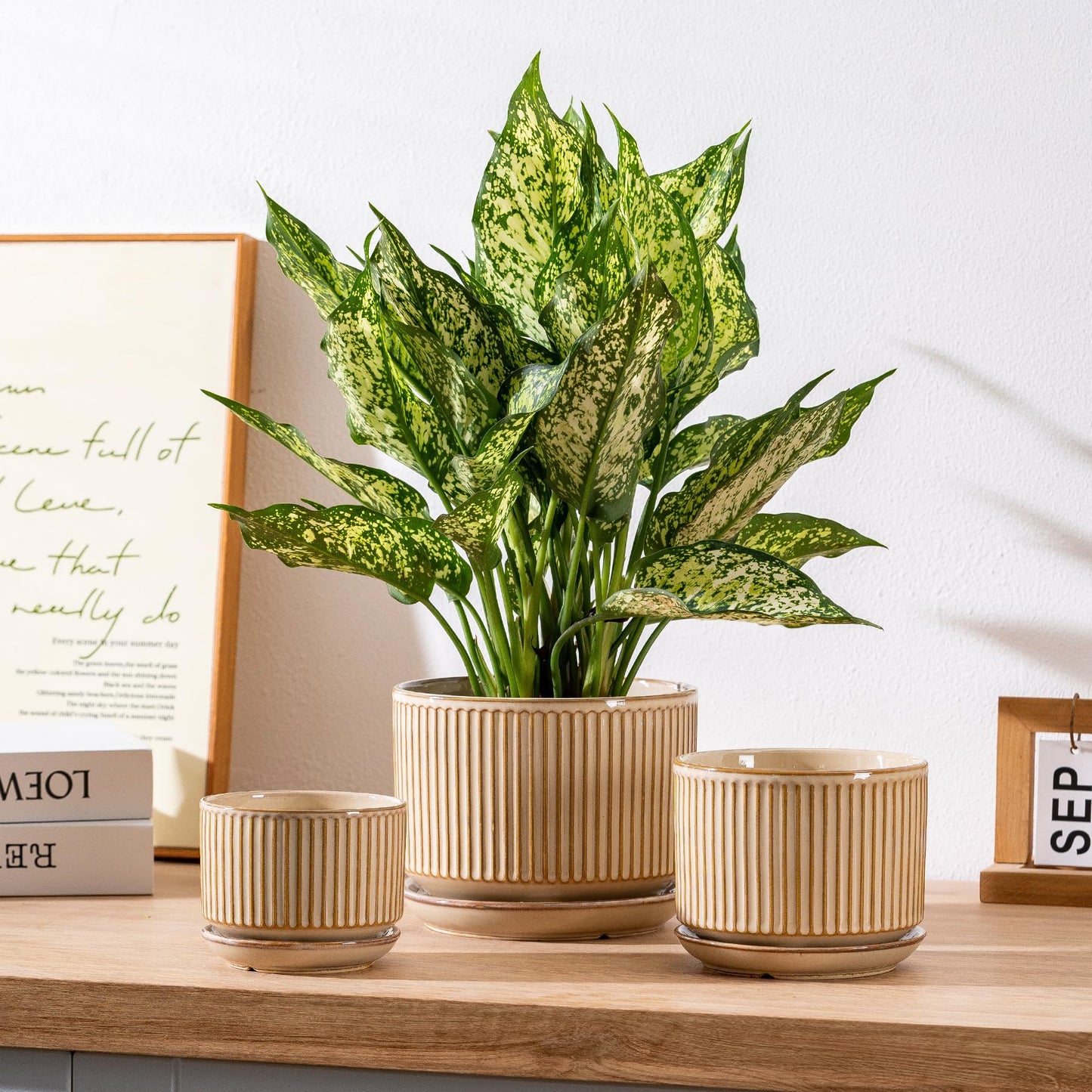 SURE YUESI Beige Ceramic Plant Pots Set of 3 (4.3”+5.5”+6.7”), Striped Planters with Drainage Hole, Saucer & Mesh Pads, Decorative Pots for Indoor & Outdoor Plants