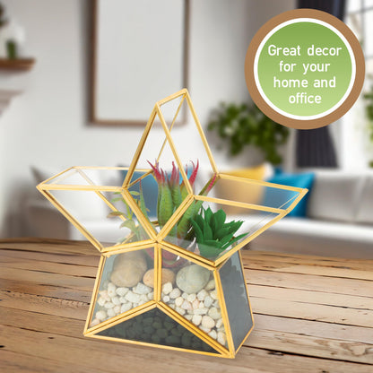 Gold Star Glass Centerpiece Display (3x8x8) - Tabletop Planter Terrarium - Spring Home & Wedding Decor - Fill with Succulents, Cacti, Air Plants, Moss, Flowers for Plant Lovers