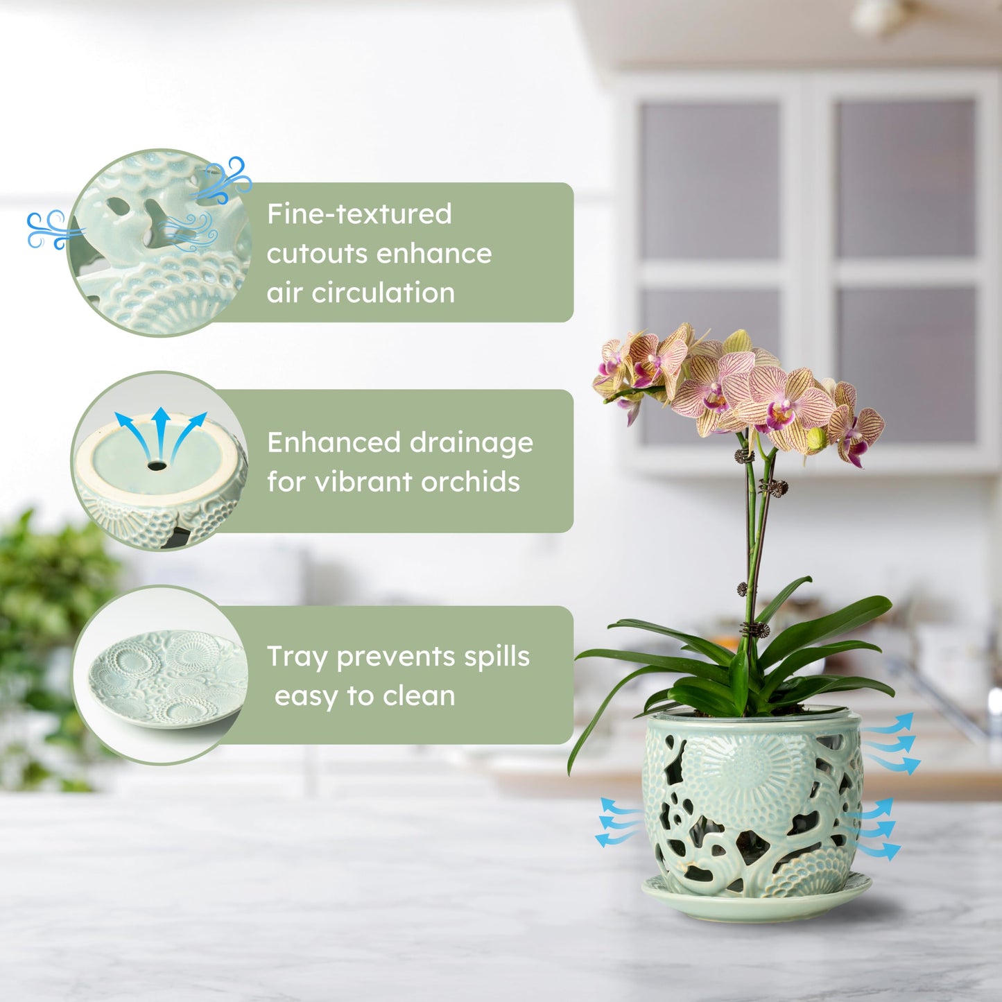 HERDUK Ceramic Orchid Pot, Orchid Pots with Drainage Holes & Saucer 6.5 Inch,Orchid Pot for Repotting Indoor, Orchid Containers with Precise Aeration & Drainage Sky Blue