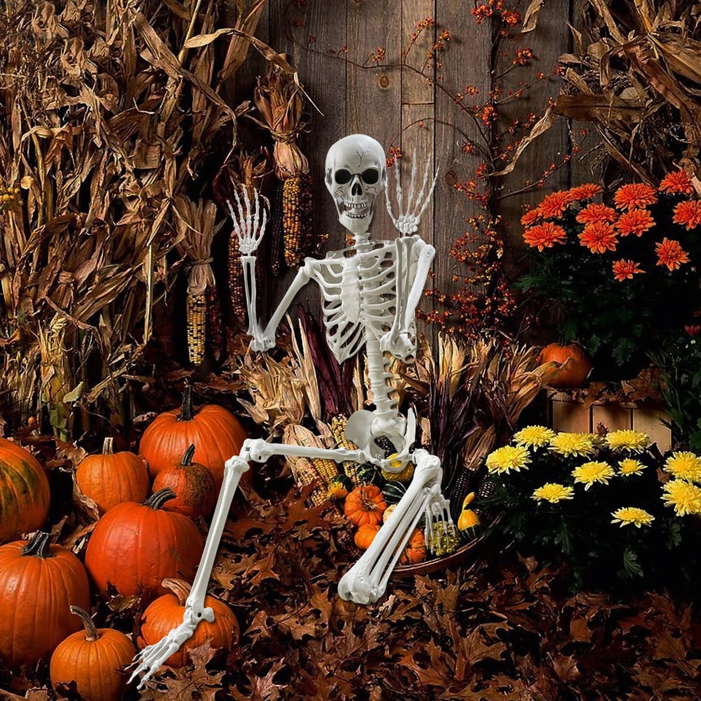 Lodou 5.4Ft Posable Life Size Human Adult Skeletons Plastic Human Bones with Movable Joints for Halloween Decoration