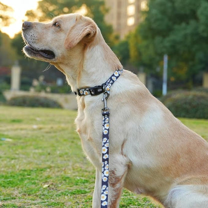 Dog Collar and Leash Set, Cute Daisy Pattern, Polyester Material, 5ft Leash, for Large Dogs.(Large,Black Daisy)