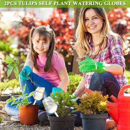 2Pcs Tulips Self Plant Watering Globes, Glass Self Watering Planter Insert, Automatic Plant Waterer Devices Indoor Outdoor (Transparent)