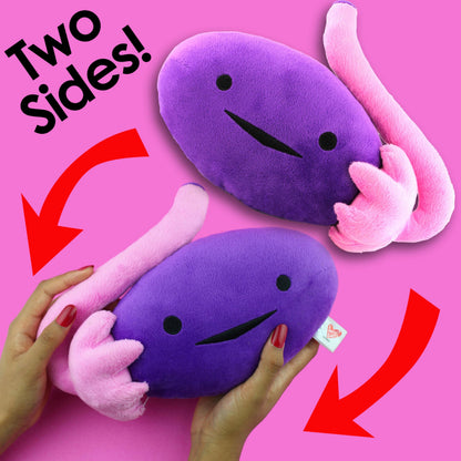 I Heart Guts - The Whole She-Bang Anatomy Bundle - Uterus Ovary Clitoris Vajayjay Placenta Female Anatomy OBGYN Medical Student Menstrual Education
