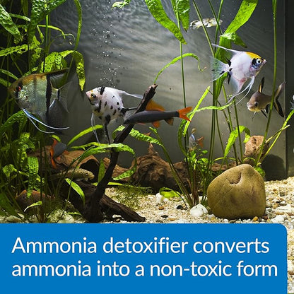API AMMO-LOCK Freshwater and Saltwater Aquarium Ammonia Detoxifier 4-Ounce Bottle, AMMO LOCK, 4 OZ