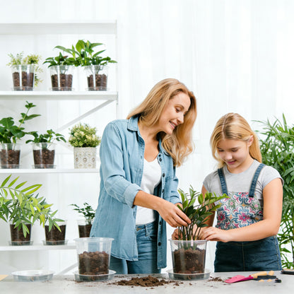 Frukwoc 4 Inch Clear Nursery Pots with Saucers 20 Pack, Plastic Flower Pots with Drainage Holes