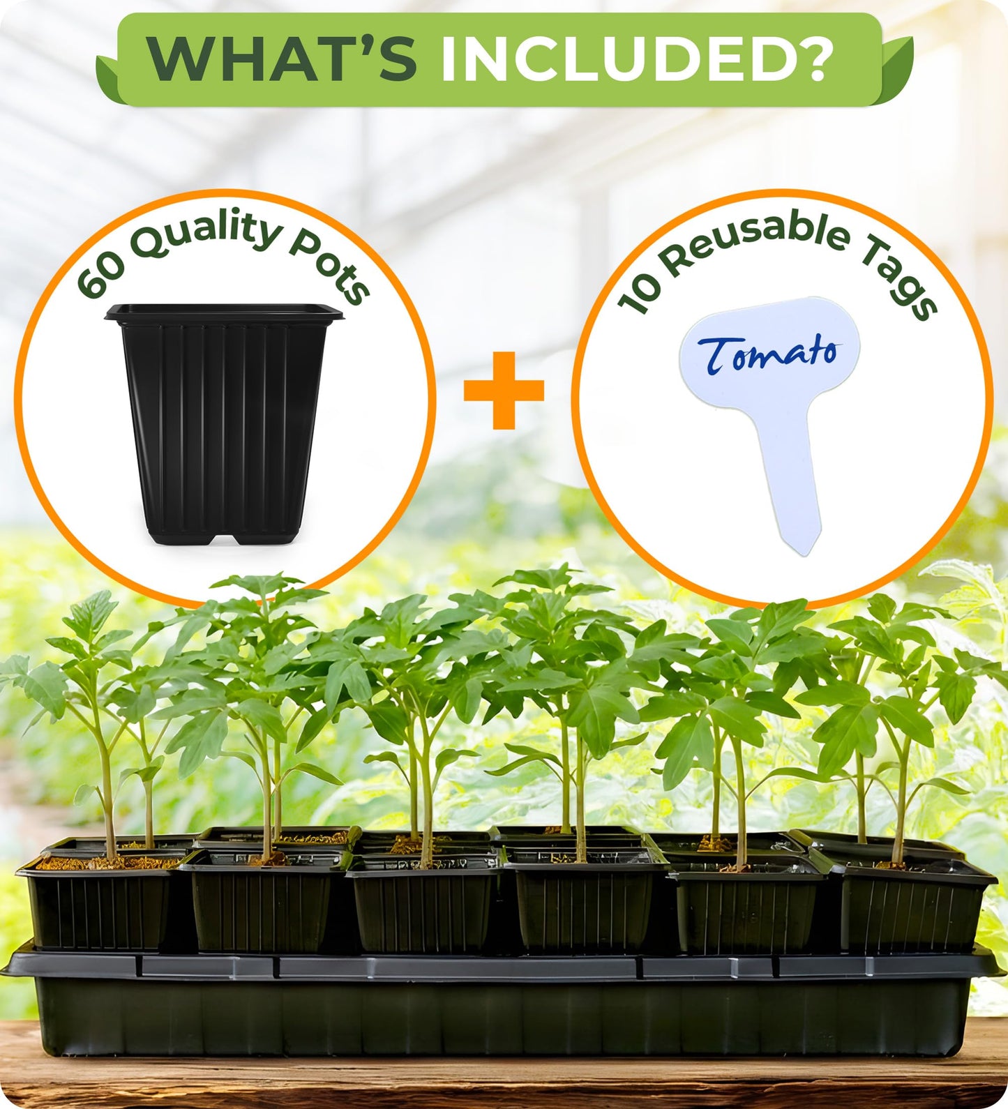 CARPATHEN 60Pack Square Nursery Pots - 3.5 Inch Seedling Plant Pot with Drainage Holes - 1020 Tray Optimized - Reusable Sturdy Seed Starter Pots for Flowers, Vegetables, Greens