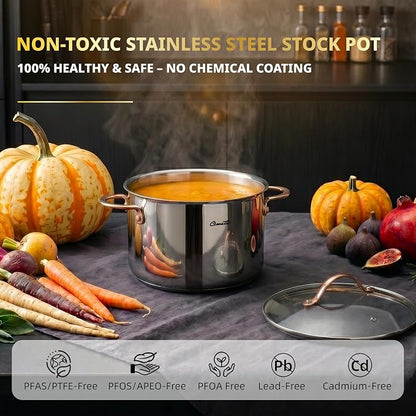 Ciwete 8 Quart Stock Pot, 3 Ply Whole Clad Stainless Steel Stock Pot, 8 QT Cooking Pot with Lid, Induction Pot for Cooking, 18/10 Stainless Steel Cookware Stockpots Oven, Gas and Dishwasher Safe