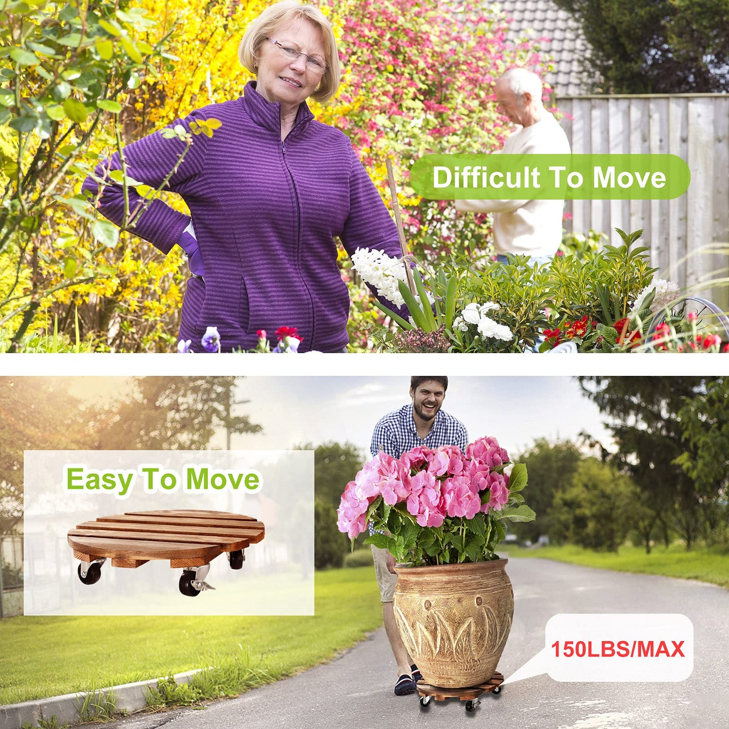 HOHY 2-Pack 12" Plant Caddy Plant Stand with Wheels Heavy Duty Wood Rolling Plant Stand with 2 360° Lockable Wheels,Indoor Outdoor Plant Roller for Large Planters, Flower Pot, Patio