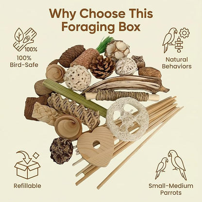 Wooden Foraging Box for Cage with 30PCS Natural Foraging & Chew Parrot Toy for Parakeets, Cockatiels, Conures & Lovebirds and Other Small to Medium Birds