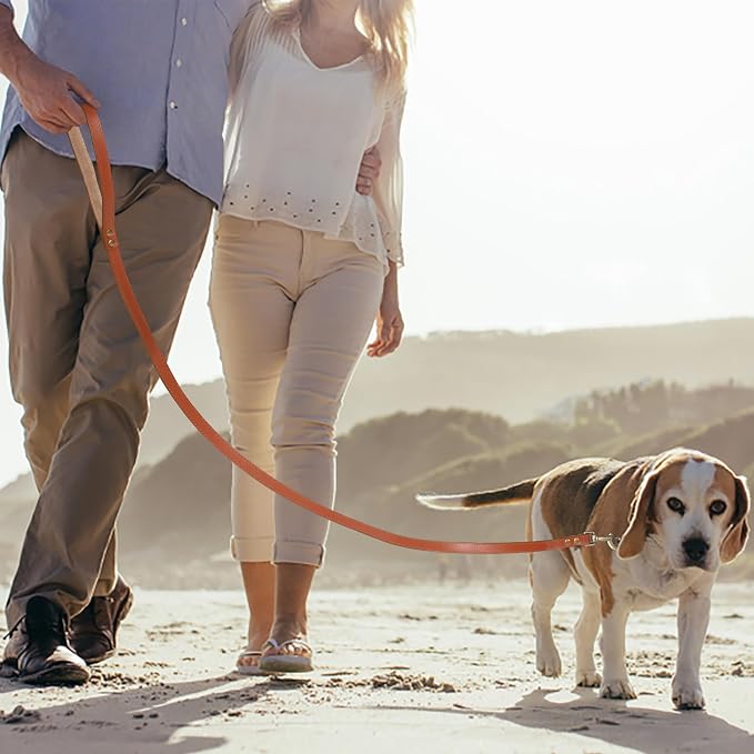 Lightnpro 21" Adjustable Tan Leather Dog Collar & Leash Set - Durable Soft Leather Collar with Leash - Comfortable, Heavy-Duty Walking & Training Gear for Large Breeds