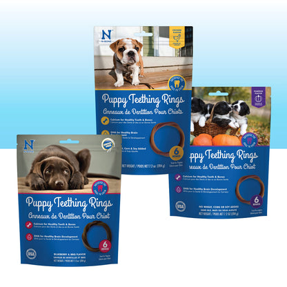 N-Bone Puppy Teething Rings 6 Count Bag Variety Pack, Chicken & Pumpkin & Blueberry BBQ Flavor, Total 3 Bags, 21.6-oz, 18 Rings