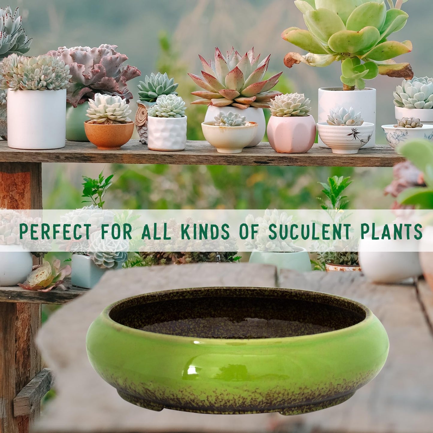 ARTKETTY Succulent Pots, Ceramic Bonsai Pots with Drainage, Large Shallow Succulent Planters for Indoor Outdoor Plants, Round Glazed Cactus Flower Plant Container Bowl Home Desk Decor