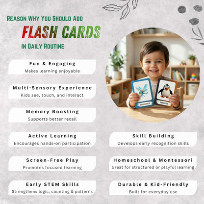 The Biblio Hub Animated Mixed Animals Flashcards – Non-Tearable Synthetic Learning Cards for Toddlers, Preschool & Kindergarten, Double-Sided Set