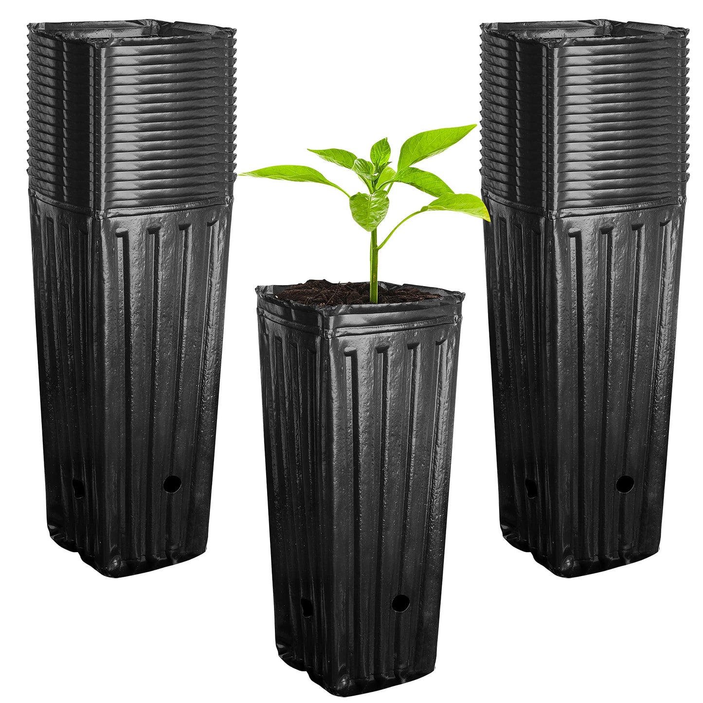 RunNico 50pcs Plastic Deep Plant Nursery Pots,11.8”Tall Tree Pots,Black Deep Seedling Container Pots with Drainage Holes for Indoor Outdoor Gardening (3.9" Wx11.8 H)