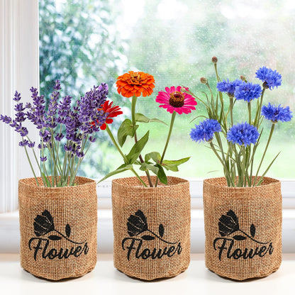 Indoor Daisy Garden Starter Kit with Gardening Tools - Planter Bags, Markers, Soil Disks and Shears, Home Gardening Gifts for Women Men Plant Lovers