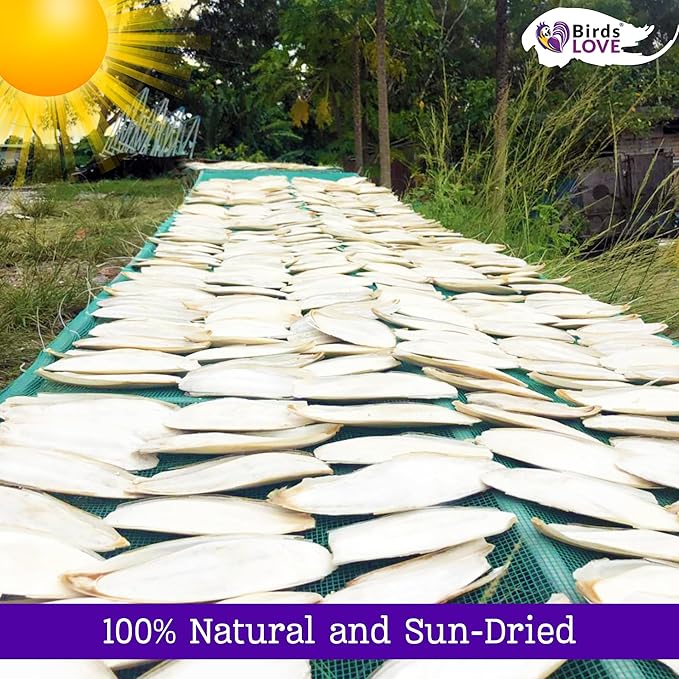 Birds LOVE 3.5-4″ Cuttlebone for Birds – 100% Natural Sun-Dried Calcium & Beak Conditioning Supplement for Parakeets, Budgies, Cockatiels, Finches & Canaries – 4 Pack with Holder – Made in Vietnam