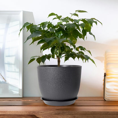 SE SUN-E 12 Inch 2 Pack Outdoor Flower Pots, Planting Pots with Saucers, Garden House Plants Planters with Drainage Hole Plant Pots Indoor Plants Black Color Plastic