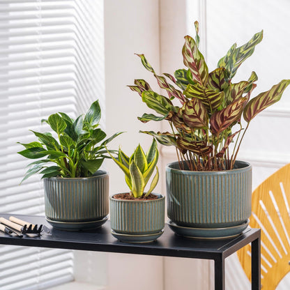 SURE YUESI Green Ceramic Plant Pots Set of 3 (4.3”+5.5”+6.7”), Indoor Striped Planters with Drainage Hole, Mesh Pads, Decorative Pots for Plants & Gardening
