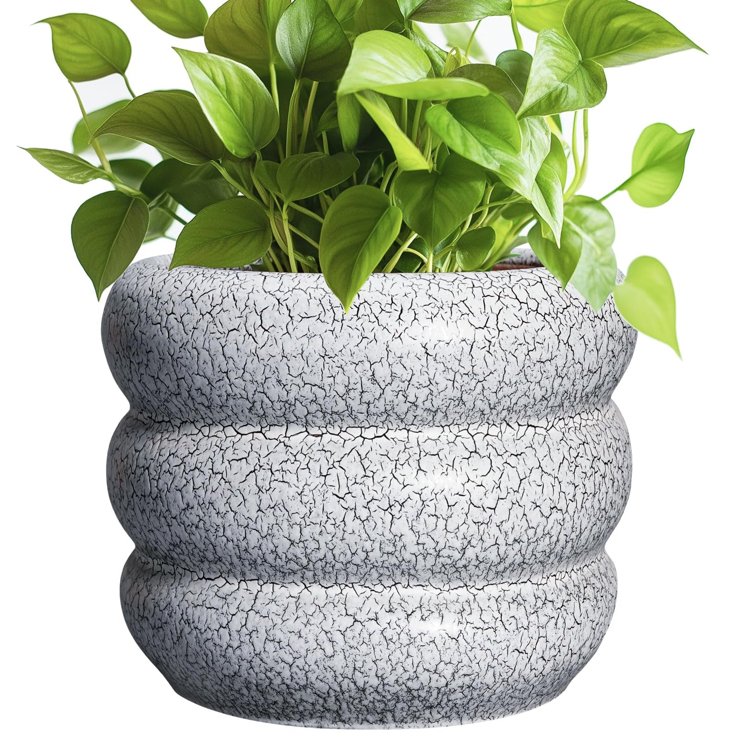 SQOWL Ceramic Pots for Plants - 8 Inch Plant Pot with Drainage Hole, Round Planter for Indoor Plants, Ceramic Flower Pots Outdoor, Modern Planter, Room Decor, Gifts for Plant Lover, Black and White