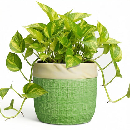 Teagas Ceramic Plant Pots - 6 Inch Plant Pot with Drainage Hole, Boho Planters for Indoor Succulent Plants, Decorative Round Unique Flower Pots, Garden Home Office Decor, Housewarming Gifts, Green