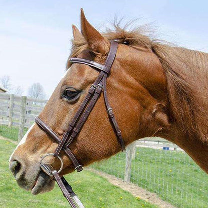 Paris Tack Everyday Raised Fancy Stitched Leather English Schooling Bridle with Laced Reins