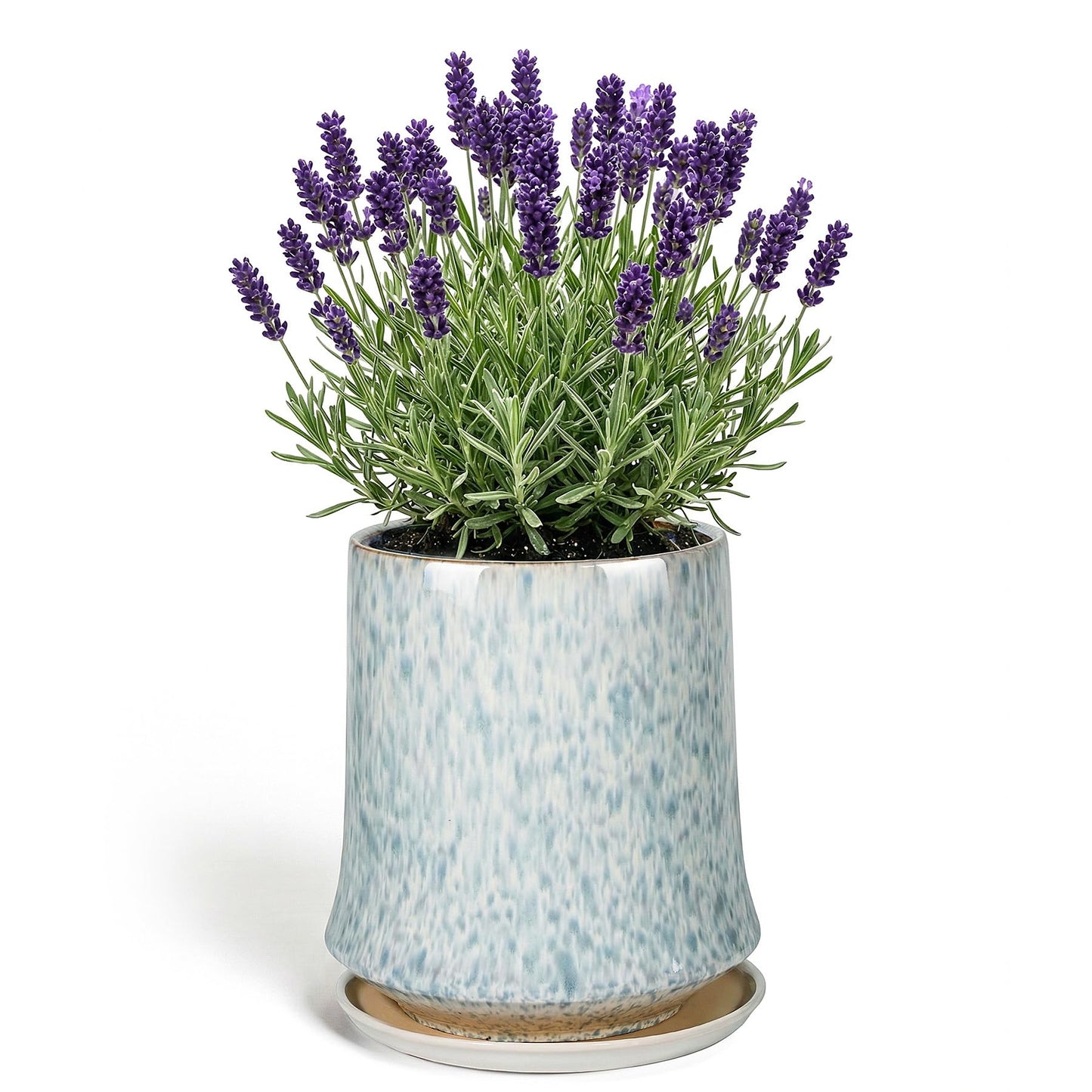 TOSELBAI 8 Inch Ceramic Planter Pot with Saucer Drainage Leak-Proof Mesh,Flower Pots for Lavender with Gardening Gloves,Ceramic Planter for Orchid(Light Blue)