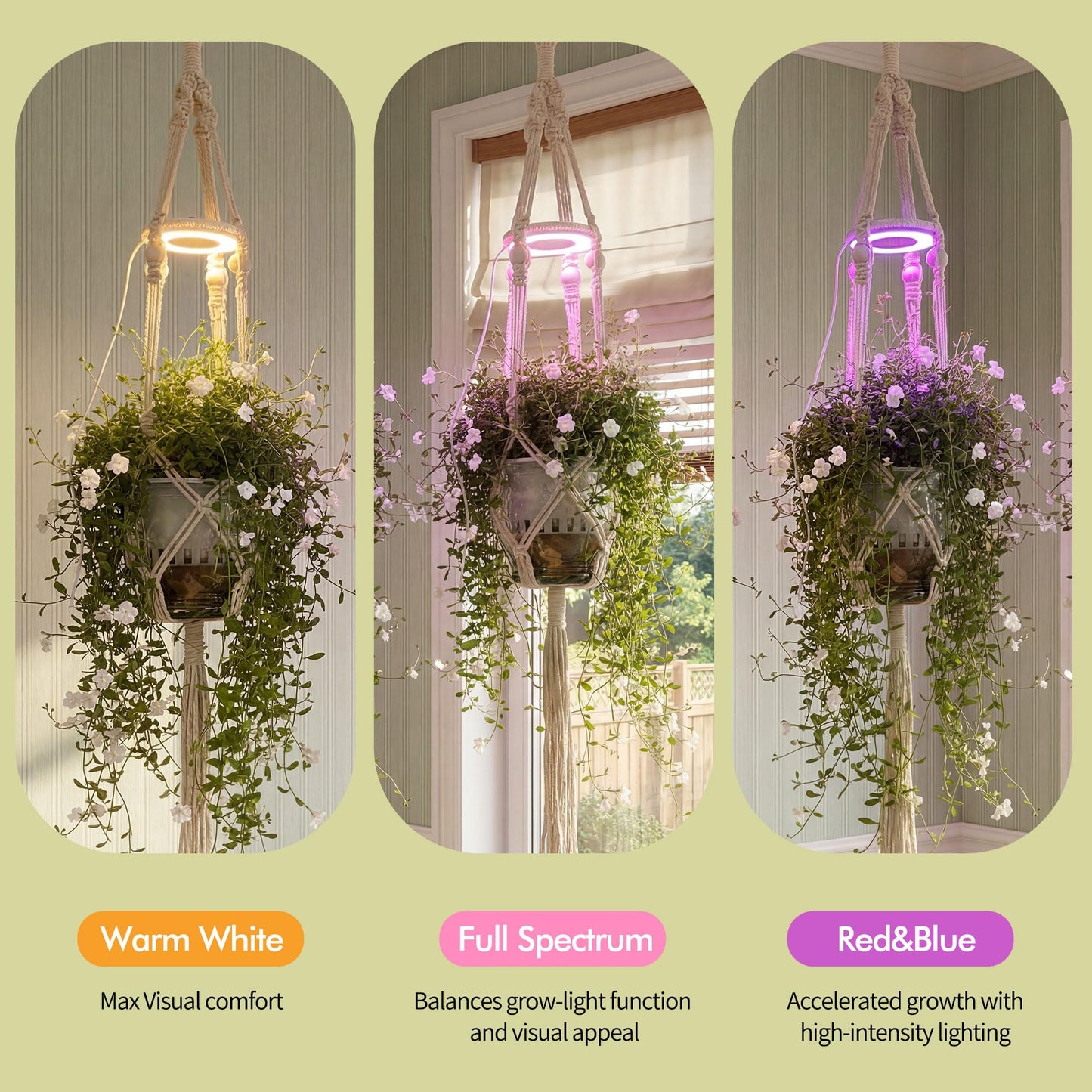 Lazukes 2 Pack Hanging Plant Grow Lights for Indoor Plants with Timer, Wall Mounted Full Spectrum Pendant Growing Light with Macrame Plant Hanger, Ceiling LED Planta Luz for Potted Plants Home Decor