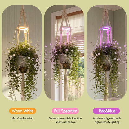 Lazukes 2 Pack Hanging Plant Grow Lights for Indoor Plants with Timer, Wall Mounted Full Spectrum Pendant Growing Light with Macrame Plant Hanger, Ceiling LED Planta Luz for Potted Plants Home Decor