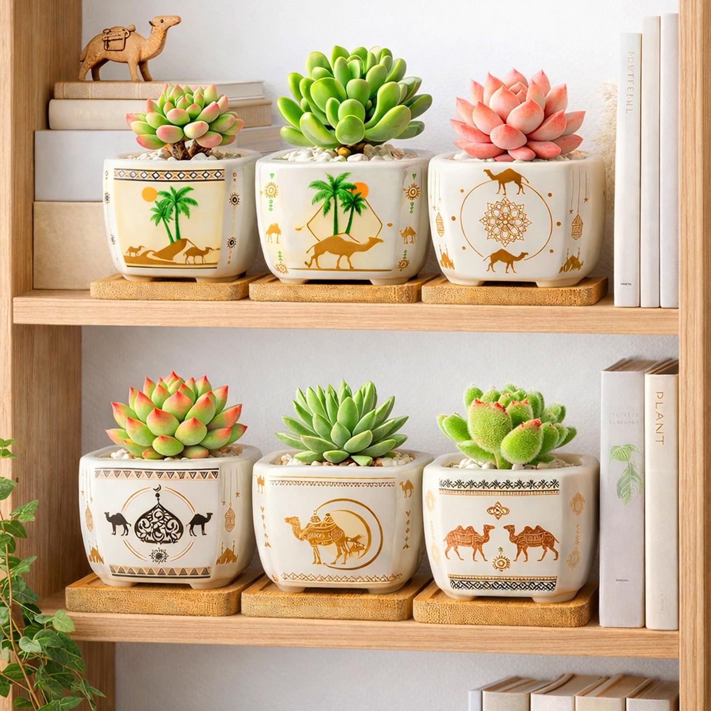 Succulent Pots with Drainage, 3.2" Small Plant Pots with Bamboo Trays, Ceramic Pots for Indoor Plants, Cactus Pots, Mini Succulent Planters for Home Garden Decor, Set of 6