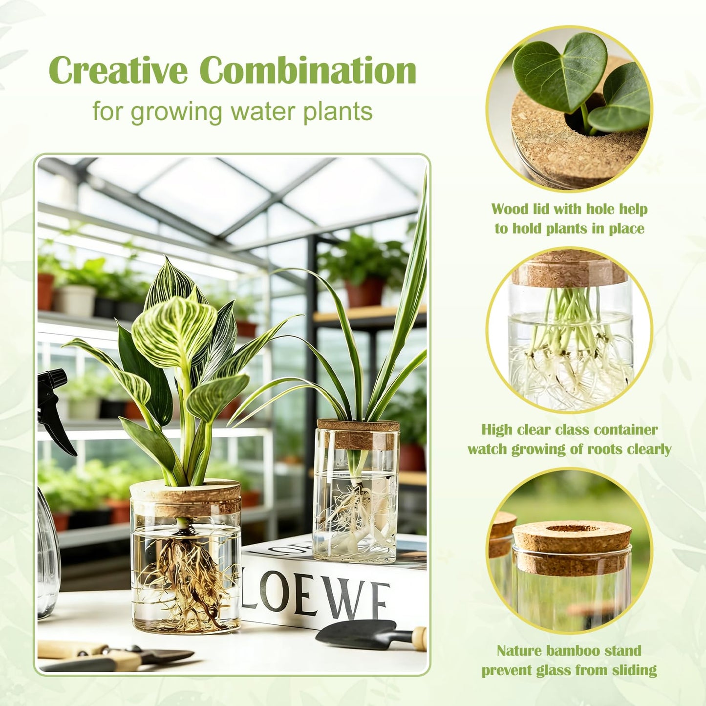 QeemTaco 4Pcs Glass Plant Propagation Vase with Wooden Stopper, Hydroponic Terrarium Cylinder Bottle for Plant Cuttings, Modern Desktop Plant Holder for Home Office Decor