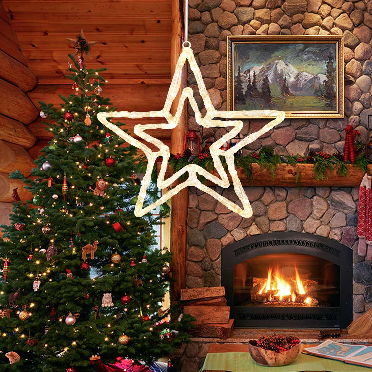 JOINTWIN Acrylic Christmas Star Light 13'' Window Light with 30 Warm White LEDs Battery Powered Timer Festive Christmas Decoration Waterproof for Indoor and Outdoor