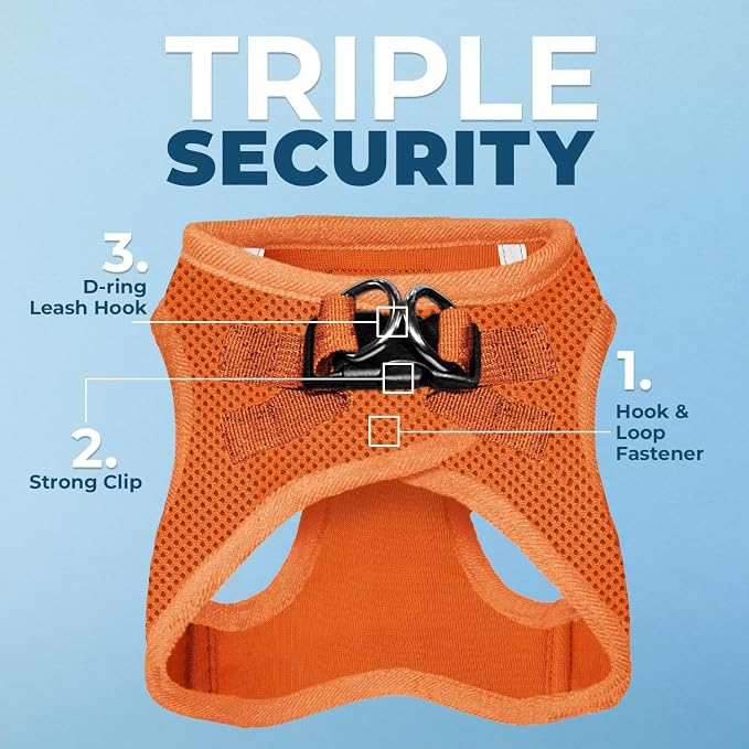 Best Pet Supplies Voyager Step-in Air All Weather Mesh Harness and Reflective Dog 5ft Leash Combo with Neoprene Handle, for Small, Medium and Large Breed Puppies - Orange, X-Small