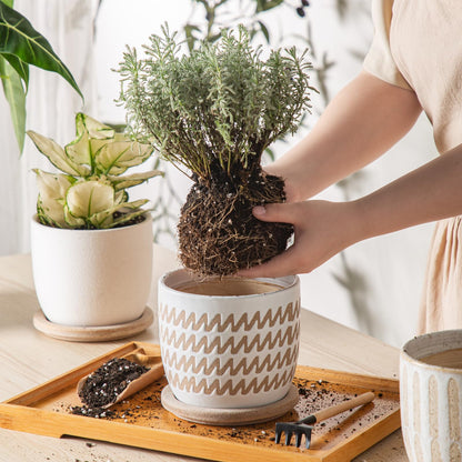 POITONRU Ceramic Flower Pots Indoor-Outdoor: 5.75 Inch Planters with Drainage Holes & Saucer - Modern Decorative Plant Pots Ceramic for Home Gardeners (Wave)