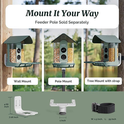 Kiwibit Smart Bird Feeder with Camera, Solar Powered for Outdoors, Bird Species AI Identification, 8MP Photo, 4K Video Livestream, Real-Time Bird Alert, Birdwatching Gift for Bird Lovers, Forest Birch