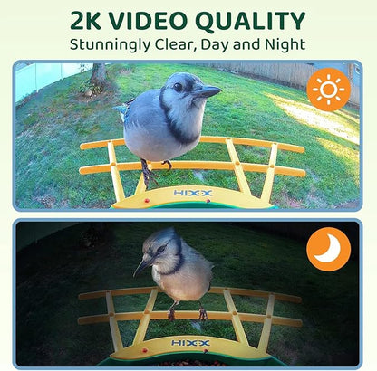 HIXX Smart Bird Feeder with Camera, AI Identify Birds & Auto Capture, 2K HD Live Camera Birdwatching with Color Night Vision for Bird Lovers Gifts (Green)
