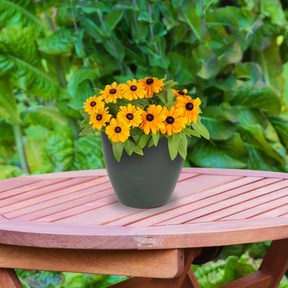 Sunnydaze Resort Round Ceramic Planter - Set of 2 Indoor or Outdoor Plant Pots with Drainage Hole - 8" - Gray Glaze